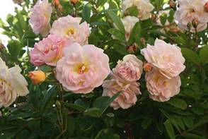 200905 075.JPG